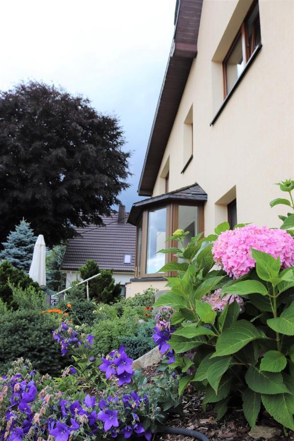 Ferienwohnung Hans Im Glueck Olbernhau Exteriér fotografie